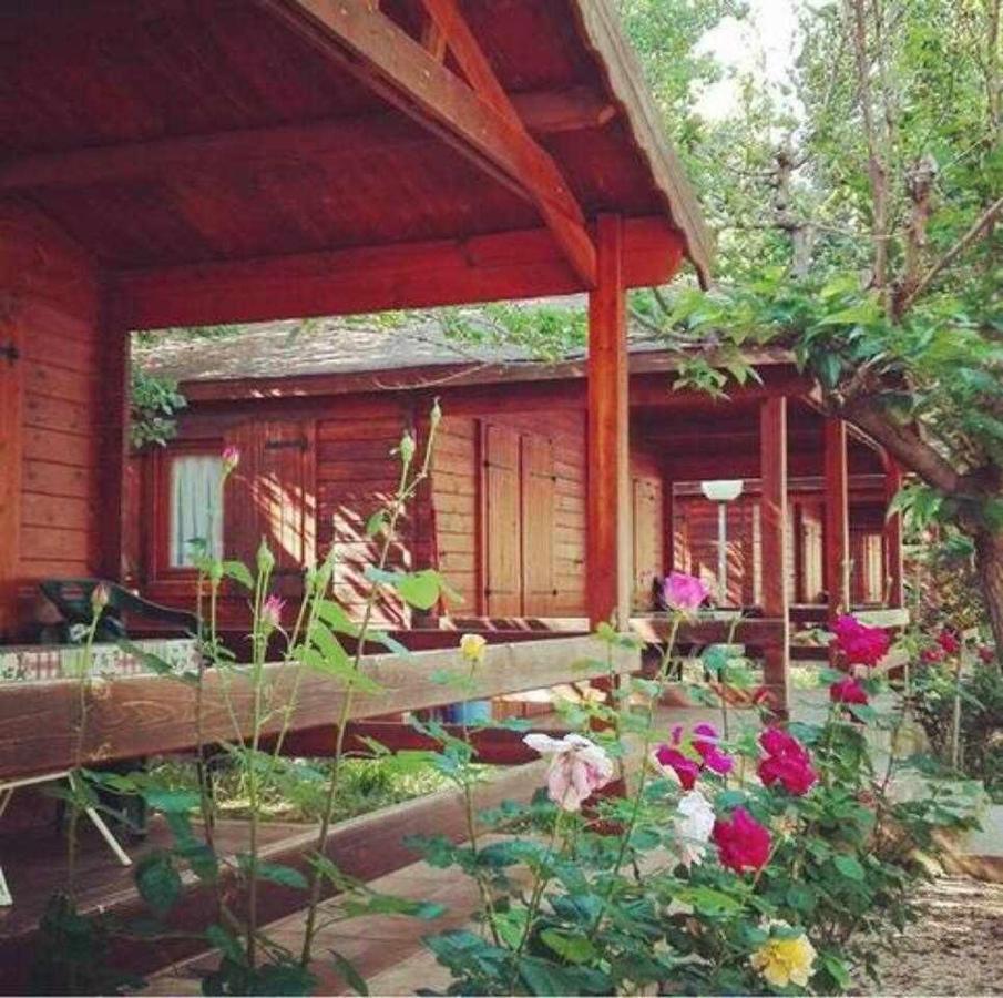 Bungalow&Camping Fuente De Regrustan Graus Exterior foto